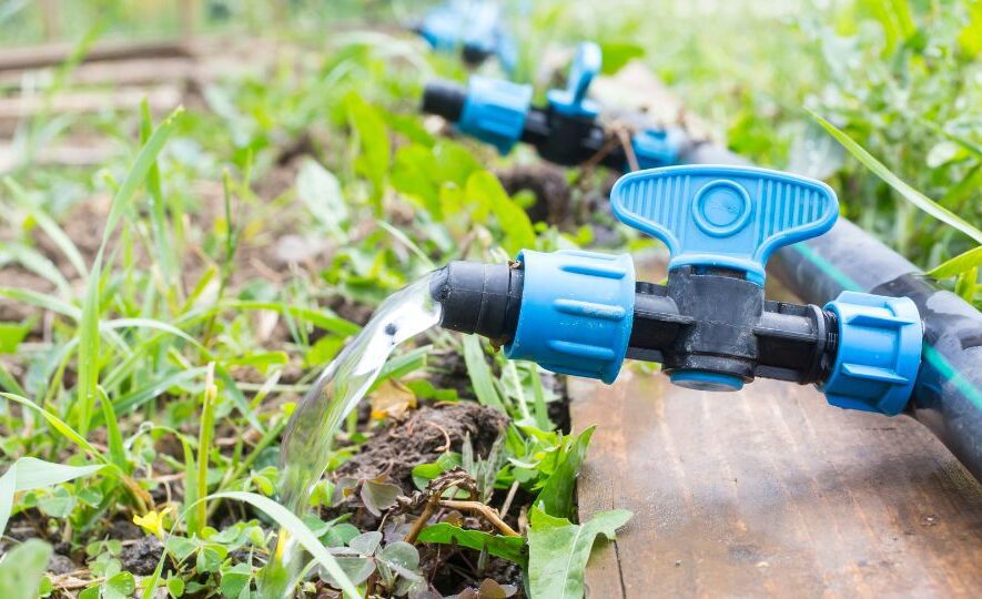 Drip Irrigation System Close Up