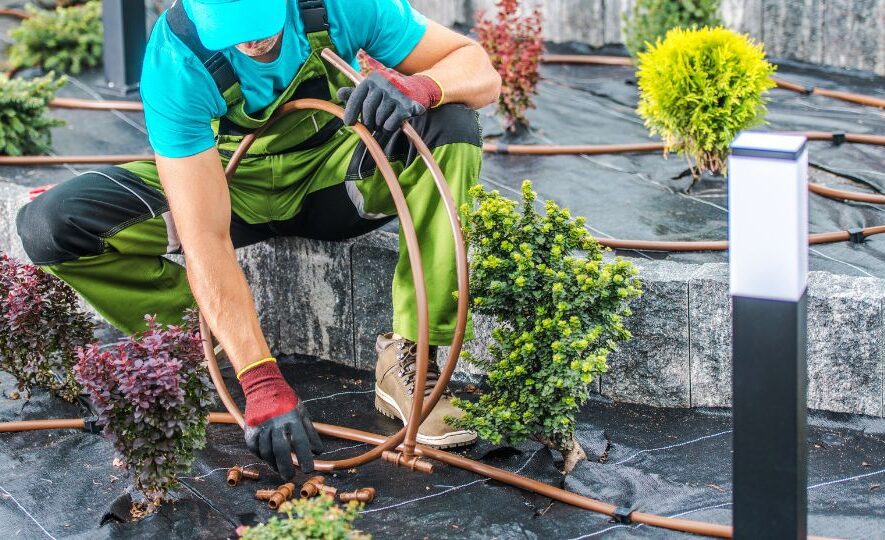 Professional Gardener Installing Irrigation System