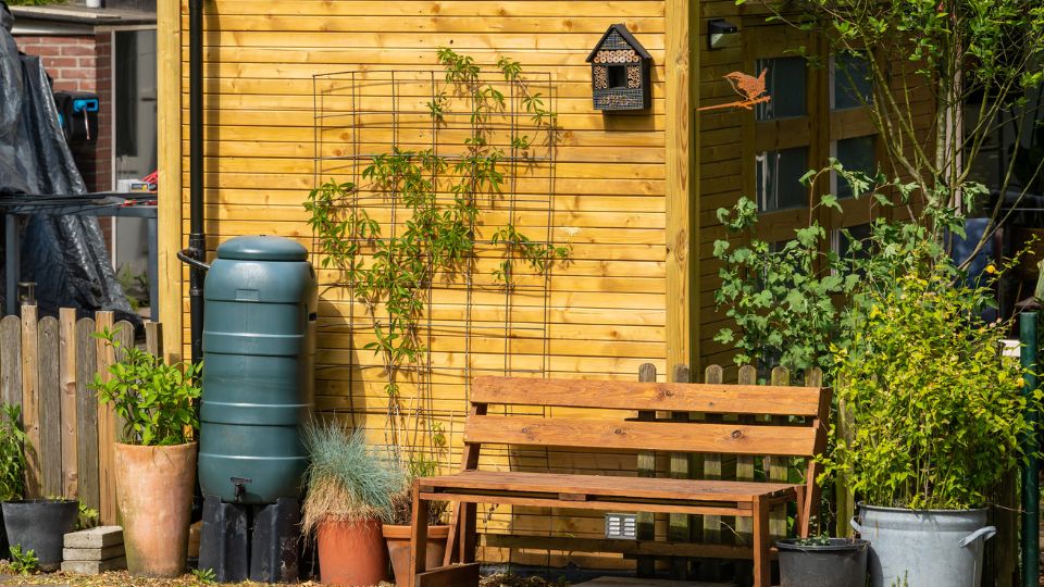 Rain barrel for rainwater harvesting and pot plants in the garden