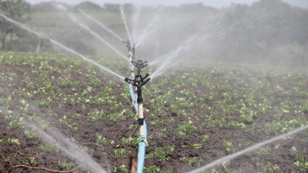 Water Irrigation Services